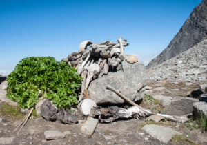 human skeletons in roopkund lake