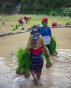 aeb1520d908d4aa17121c2da894c2c25