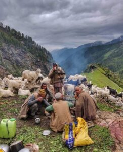 daad290b09ab5fd4e35c0cb8d0a00e95