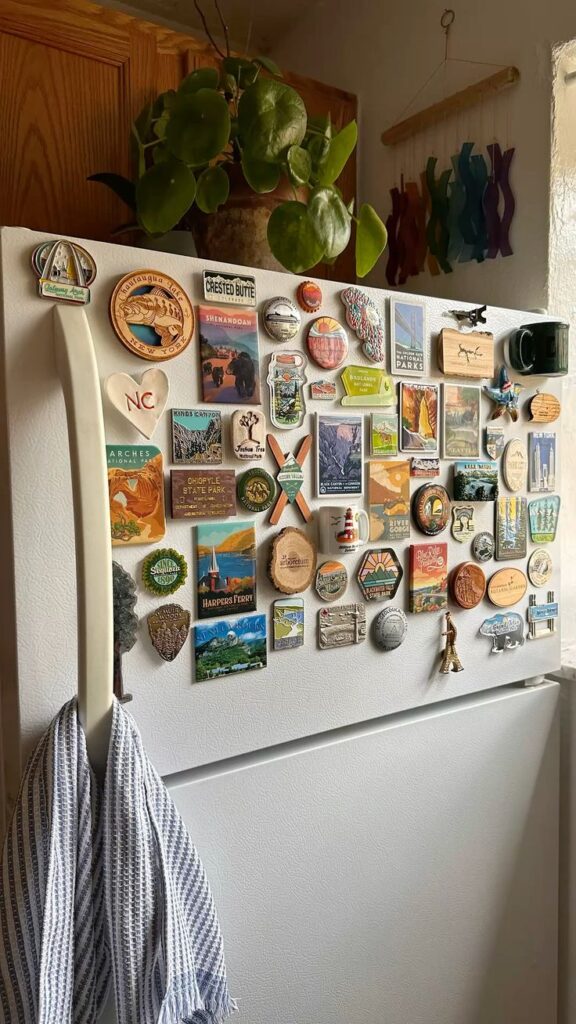 fridge magnet thumbnail